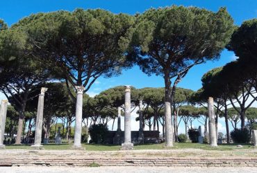 colonne