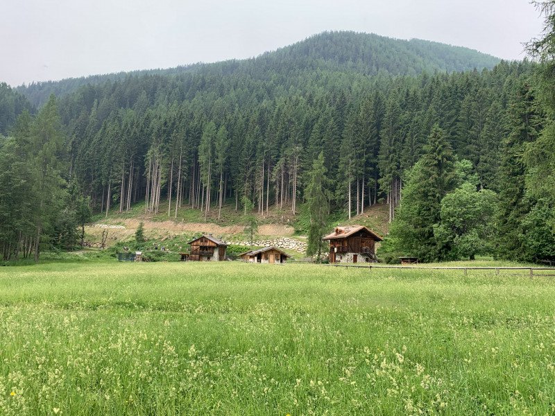 cosa vedere in val di sole trentino
