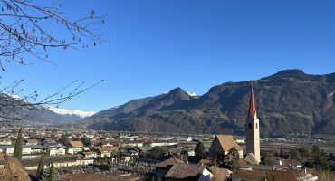 IMG_7101 (1)