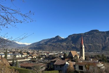 IMG_7101 (1)