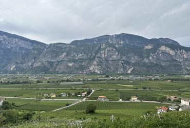 IMG_1599
