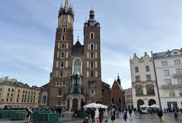 IMG_8003